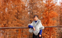 啪嗒啪嗒免费观看